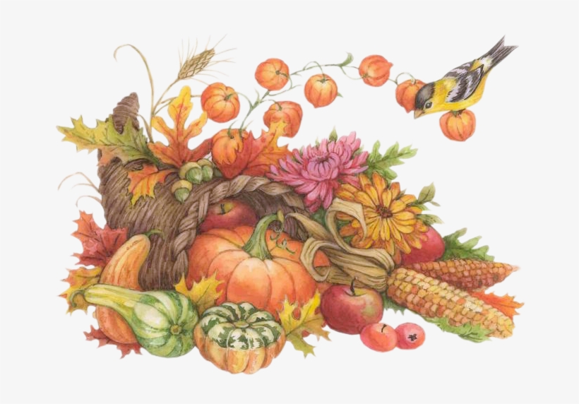 Http Mafoirfouille M A - Thanksgiving Harvest Watercolor, transparent png download