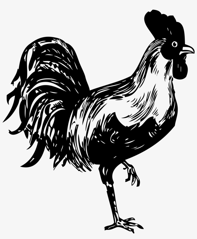 Stencil Rooster Chicken Drawing Painting - Rooster Stencil, transparent png download