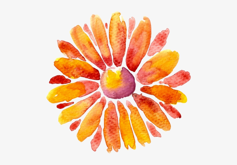 Art Watercolor Transparent Flower - Sticker, transparent png download