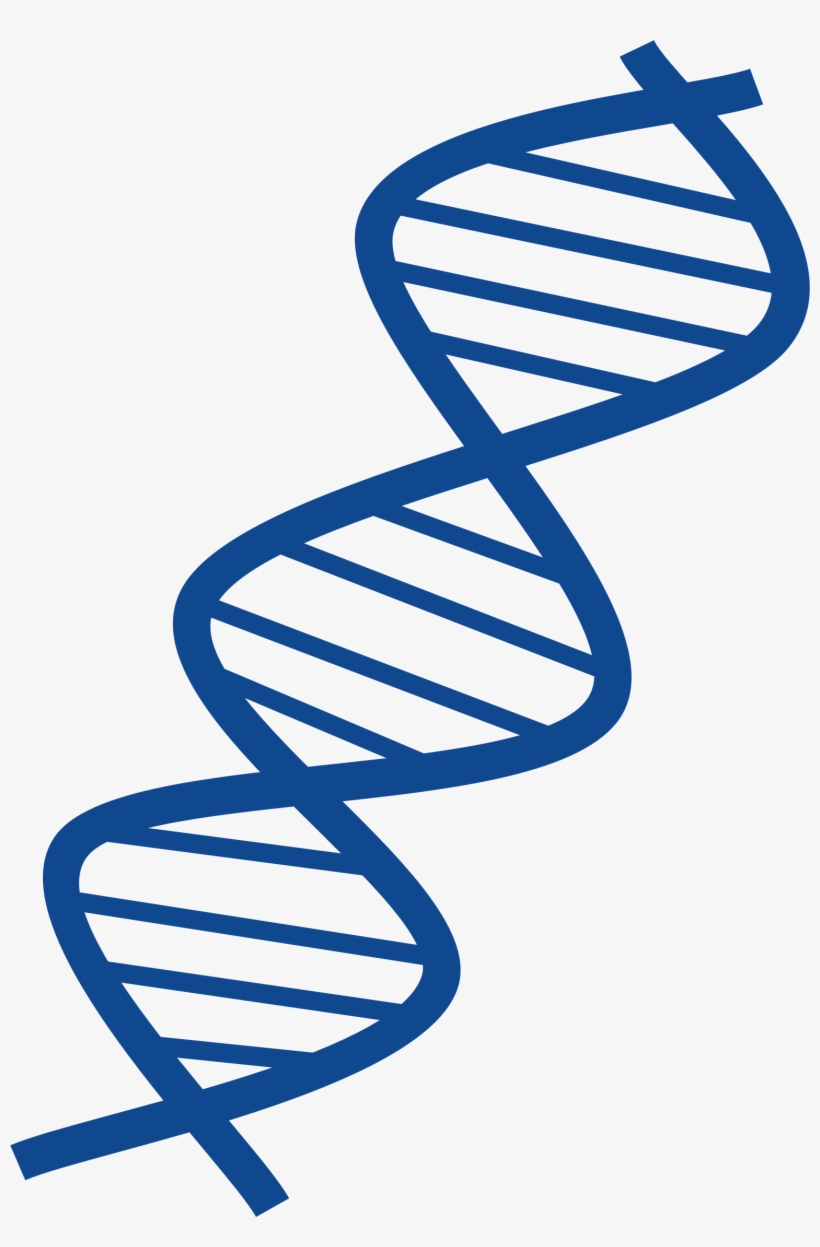 Image Result For Dna Art Blue - Dna Clipart Png, transparent png download