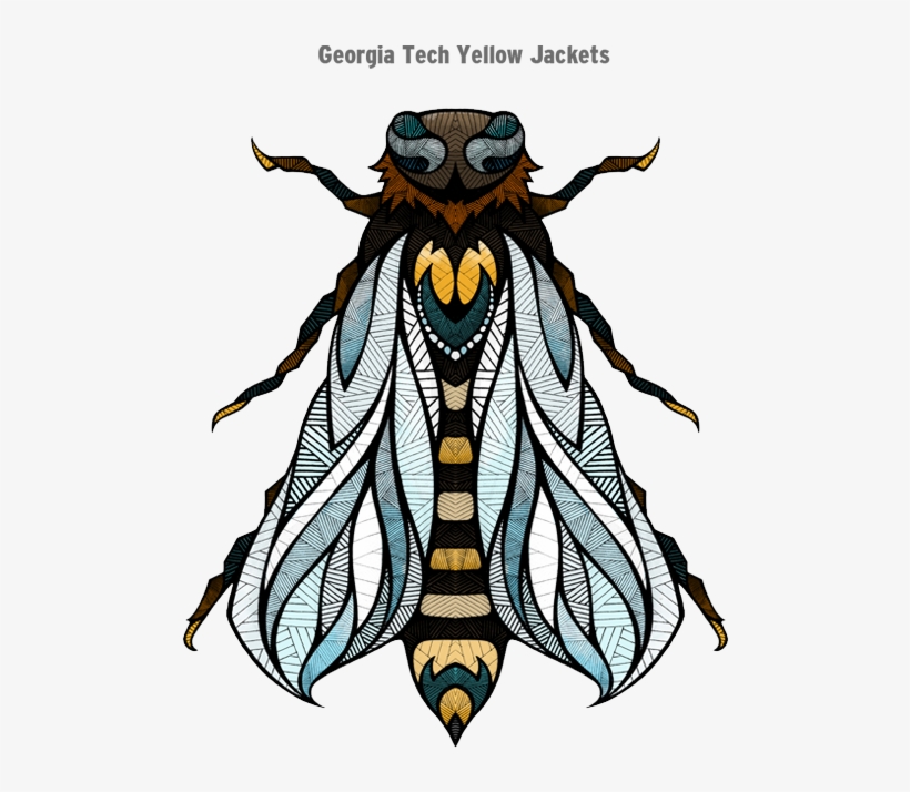 Recently I Got Asked By Espn The Magazine To Help Them - Andrena Carantonica, transparent png download