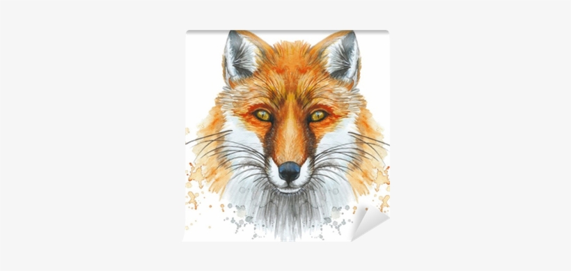 Painted With A Watercolor Drawing Of A Red Fox, The - Raposa Desenho, transparent png download