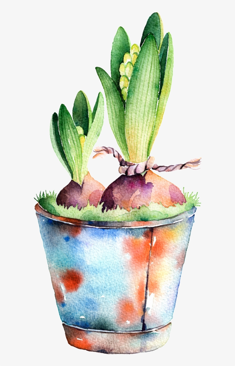 Potted Watercolor Hand Painted Transparent - Watercolor Painting, transparent png download
