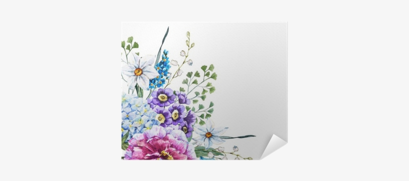 Cornflower Drawing Watercolor - Hand Drawn Watercolor Flowers, transparent png download