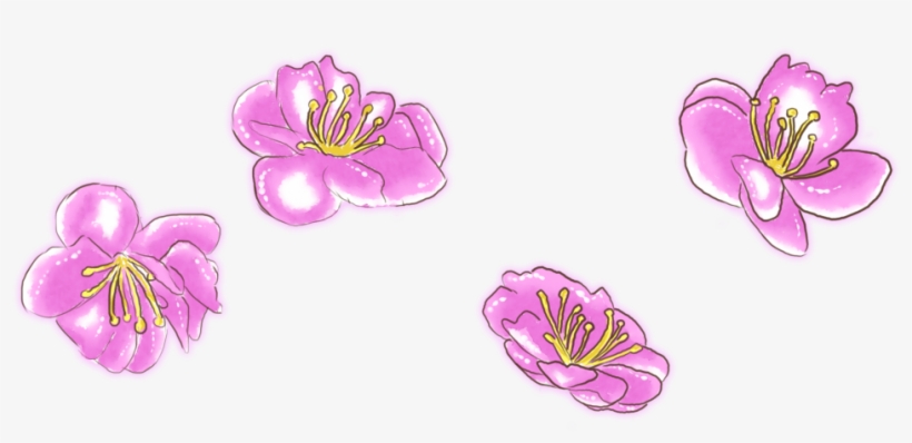 I Have An Art Page But For Some Reason It Seems A Lot - Lily, transparent png download