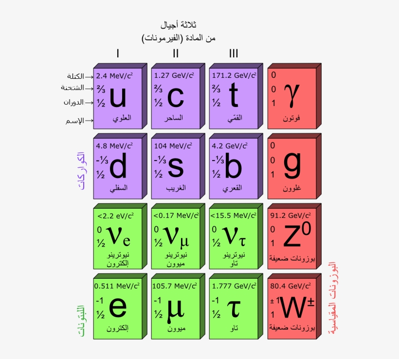 Standard Model Of Elementary Particles-ar - Standard Model, transparent png download