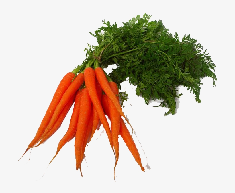 Carrot Png Clipart Png Image - Vegetable Png, transparent png download