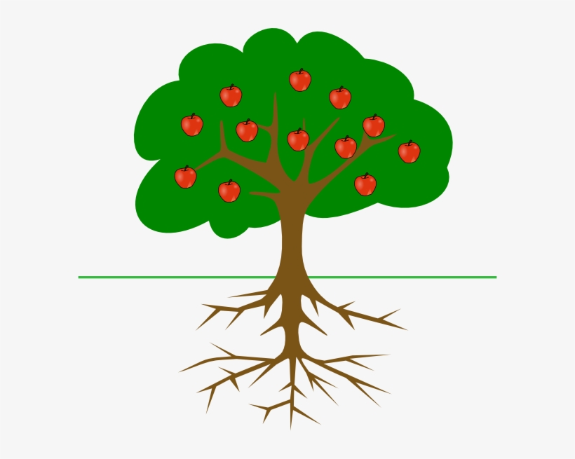 Apple - Tree Clip Art, transparent png download