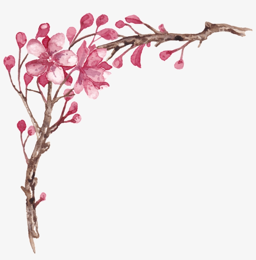Elegante Pintado A Mano Plum Tree Branches Png Transparente - Portable Network Graphics, transparent png download