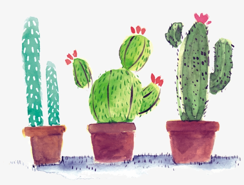 Cactaceae Poster Watercolor Transprent - Png Cactus, transparent png download