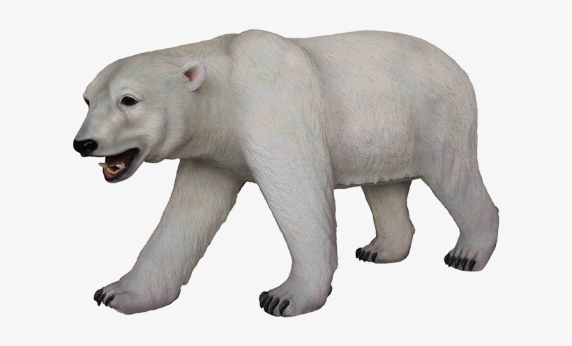 Download Polar Bear Png Transparent Images Transparent - Polar Bear, transparent png download