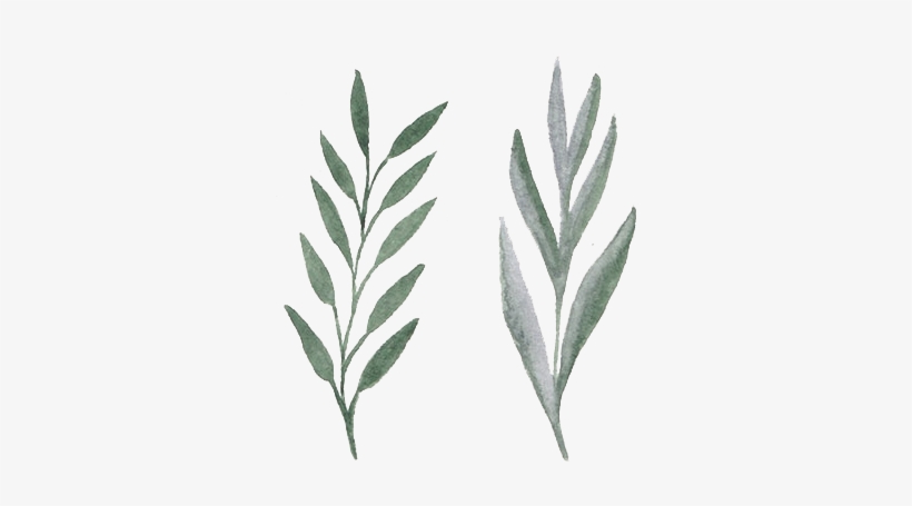 Free Watercolor Floral Set Aquarelle Flower Png Png Image Transparent Png Free Download On Seekpng