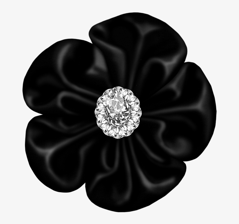 Black Bow With Gallery Yopriceville High Quality - Clip Art, transparent png download