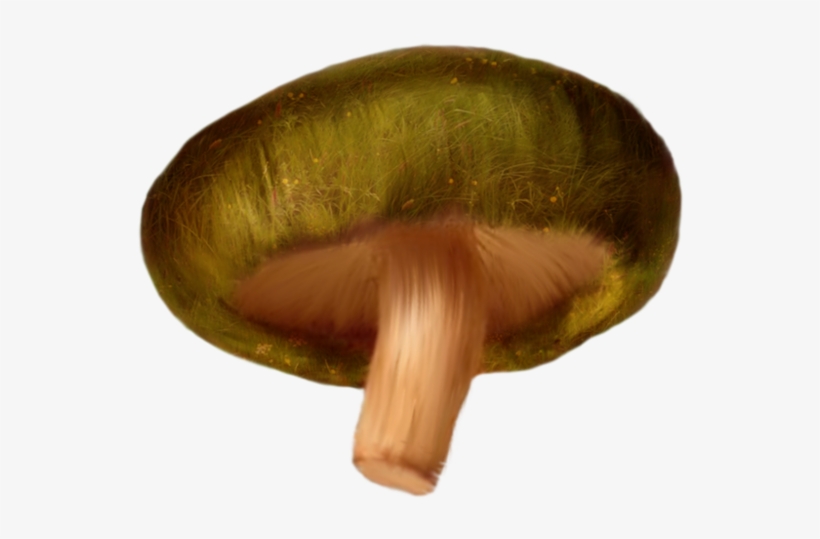 Mushroom Png Clipart - Mushroom Psd, transparent png download