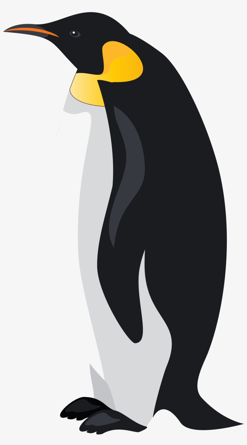 Emperor Penguin Png Clip Art Image - Penguin Clipart, transparent png download