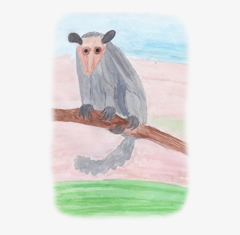 Fuego 01 - Possum, transparent png download