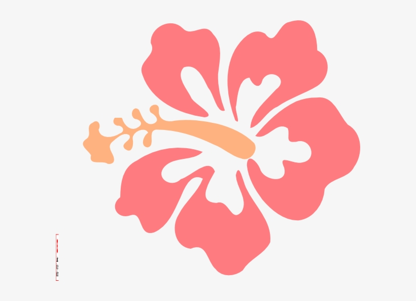 Coral Clipart Coral Flower - Hibiscus Clip Art, transparent png download