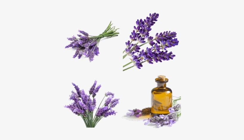 Turn Up Color Treatment April Skin Ingredients, transparent png download