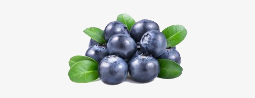 Whortleberry Fruit, transparent png download