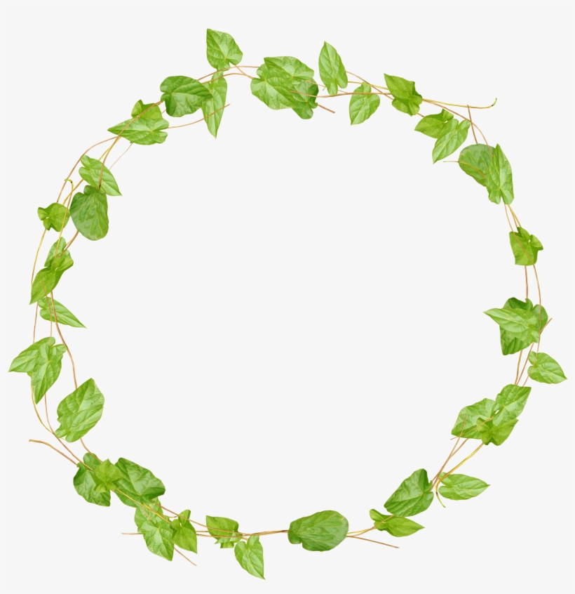 Pin By Clarisse Sink - Circle Leaf Frame Png, transparent png download