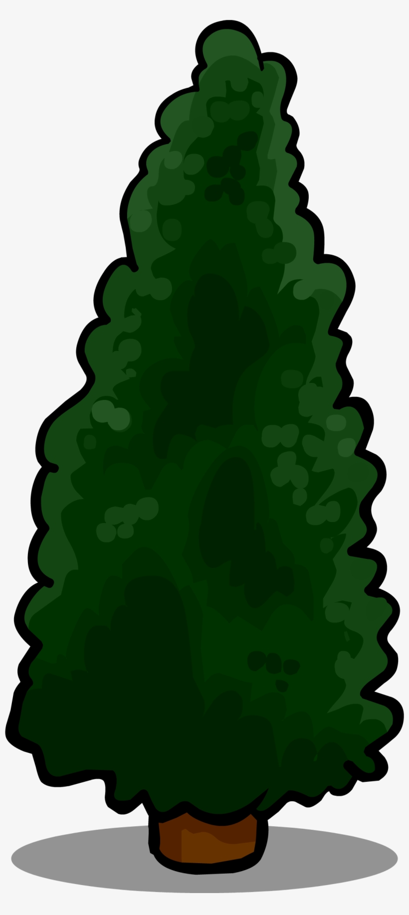 Hedge Tree - Illustration, transparent png download