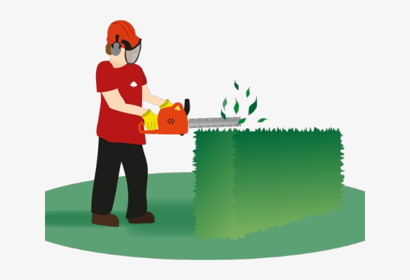 Download Hedges Clipart Hedge Trimming Clip Art Transparent PNG