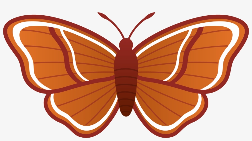 Moth Clipart - Moth Clip Art, transparent png download