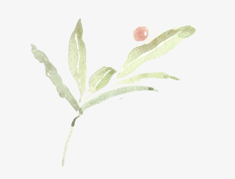 Large Leaves - Portable Network Graphics, transparent png download