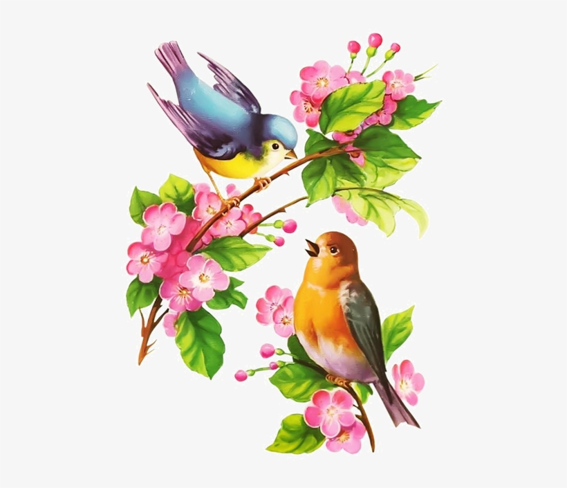 Hum Yaar Hain Tumhare, transparent png download