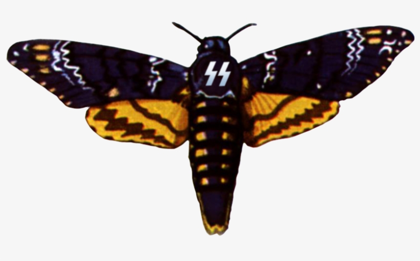 Ss Death Head Moth By Fearoftheblackwolf On Deviantart - Death's Head Hawk Moth, transparent png download