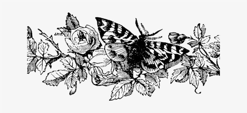 Moth Clipart Tumblr Transparent - Papilio, transparent png download