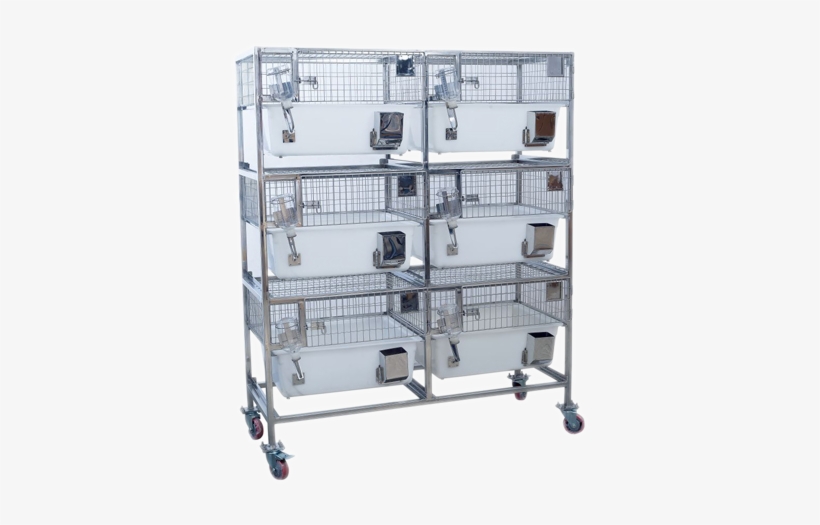Trolley With Inbuilt Polypropylene Guinea Pig Cage - Guinea Pig, transparent png download