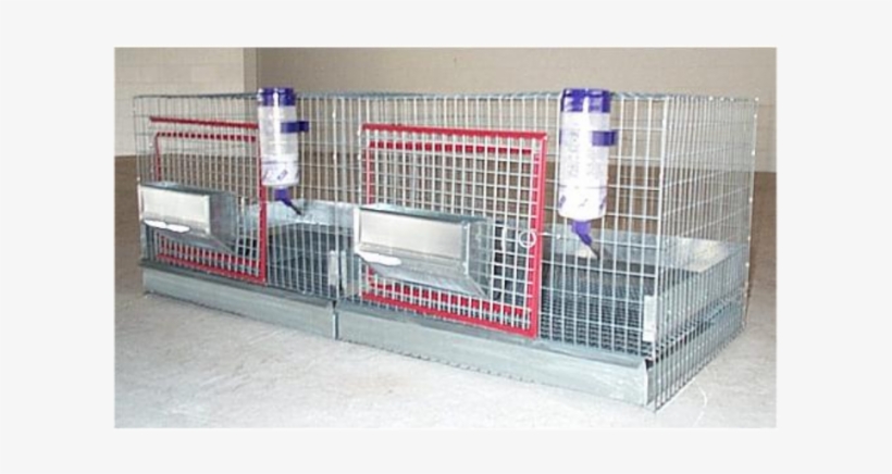 Deluxe 2 Compartment Cage - Cage, transparent png download