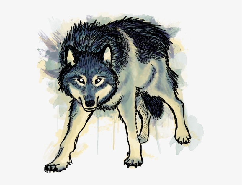 Mackenzie River Husky, transparent png download