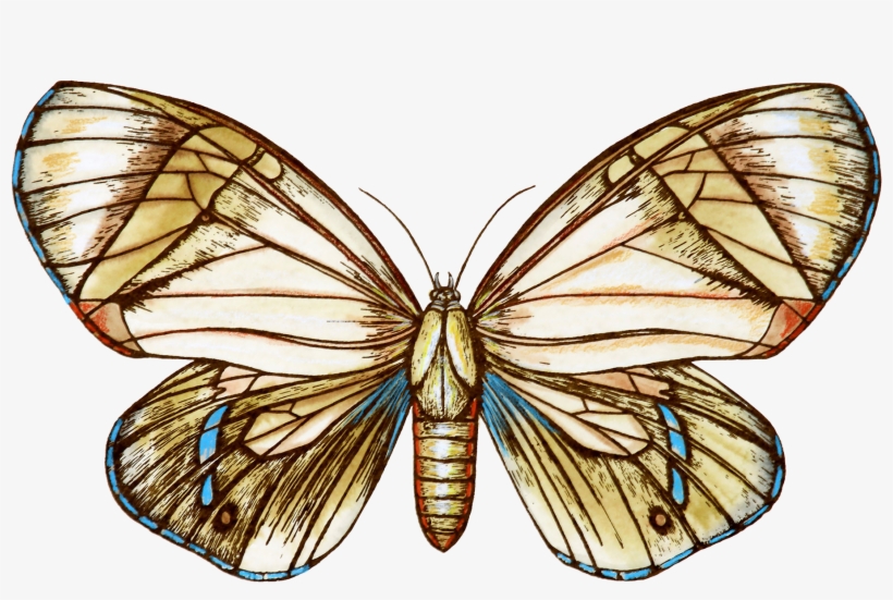 Aporia, transparent png download