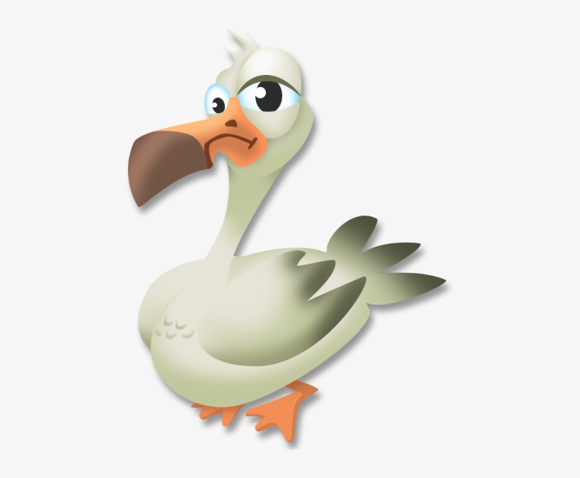 Seagull - Seagull Png, transparent png download