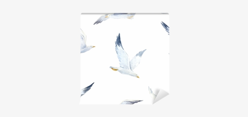 Seagulls Watercolour Vector, transparent png download