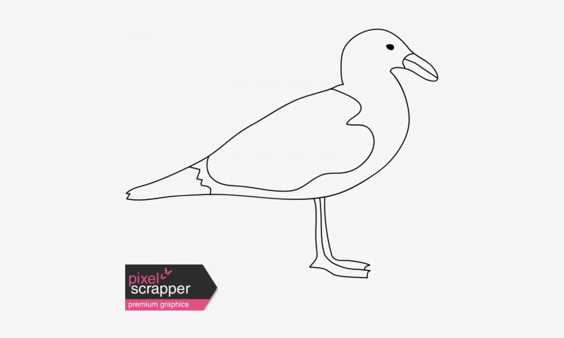 Jpg Library Download Seagull Illustration Graphic By - Drawing, transparent png download