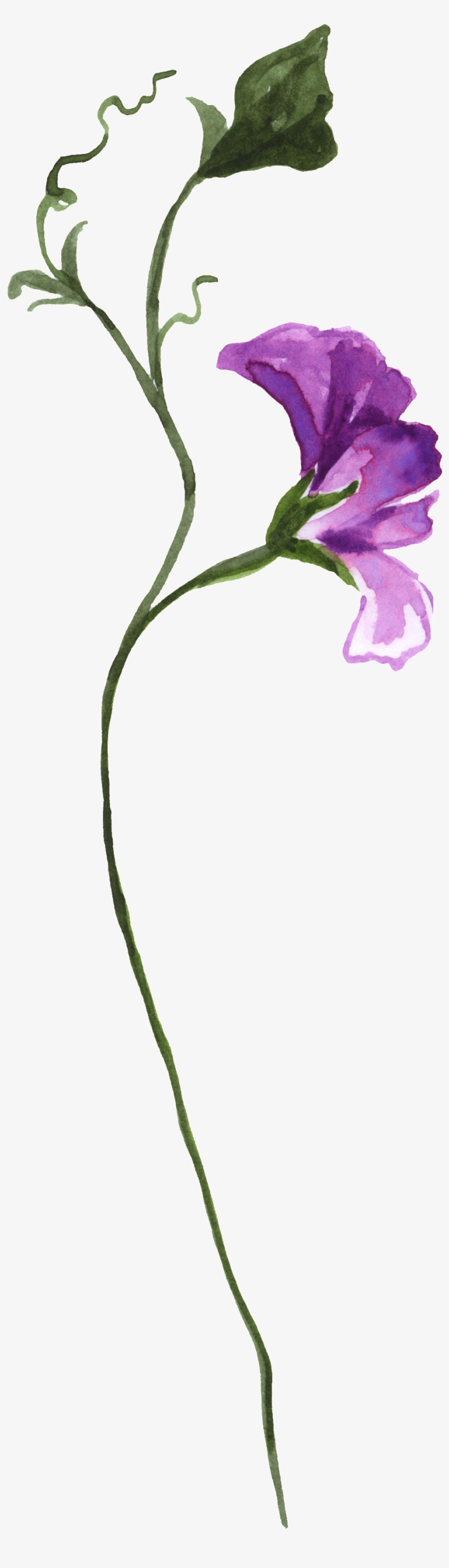 Curved Elegant Ornamental Material - Flower, transparent png download