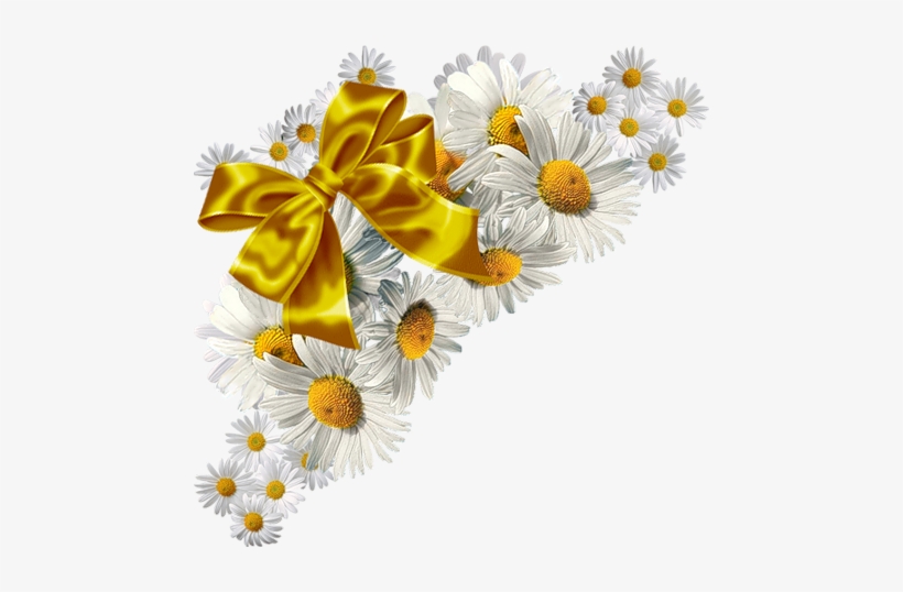 Цветы В Png - .net, transparent png download