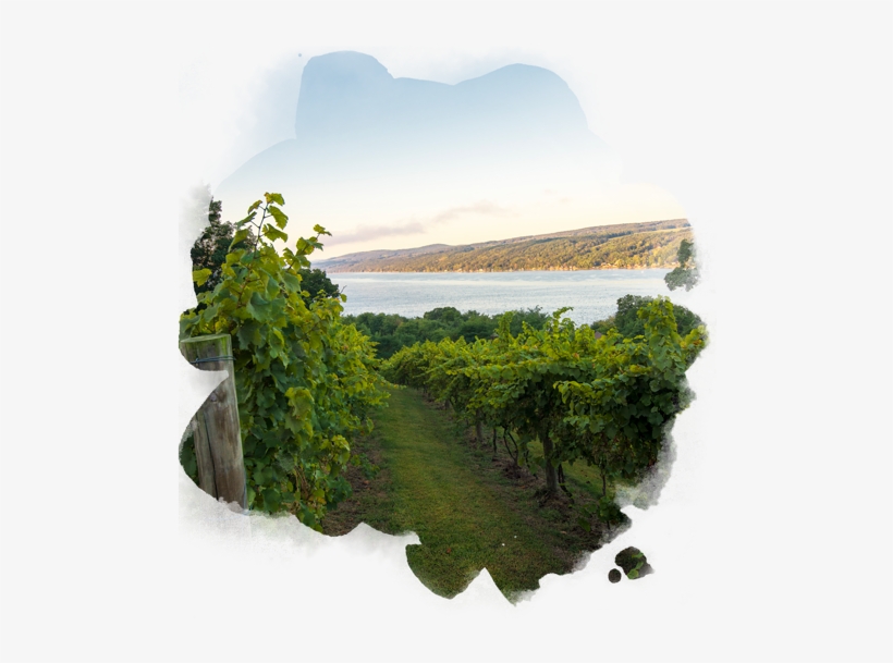 Keuka Lake, transparent png download
