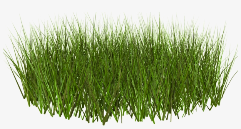 Grass Texture Png Download Lawn Clipping Png Png Image Transparent Png Free Download On Seekpng