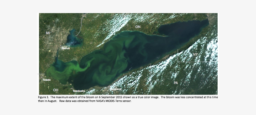 Noaa Lake Erie 2 - Lake Erie Algae 2017, transparent png download