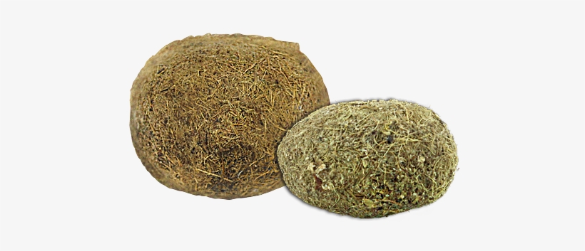 35 Pm 558401 Grass 8/22/2016 - Muskmelon, transparent png download