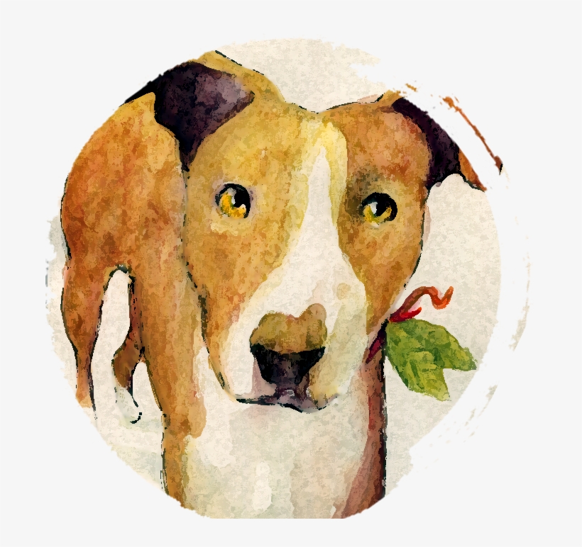 Neither A Flan Nor A Cerel, Her Name Is Flame And Her - Old English Terrier, transparent png download