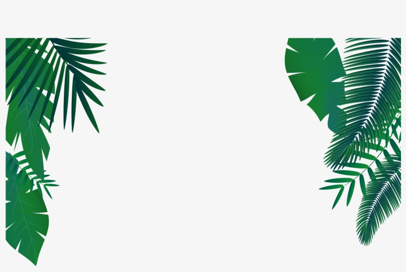 Vector Royalty Free Library Euclidean Arecaceae Green - Vector Graphics, transparent png download
