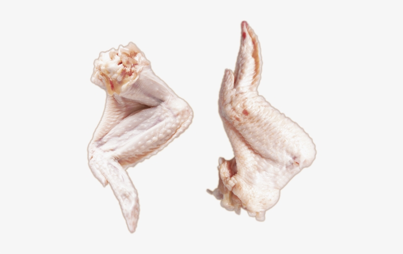 Meat, transparent png download