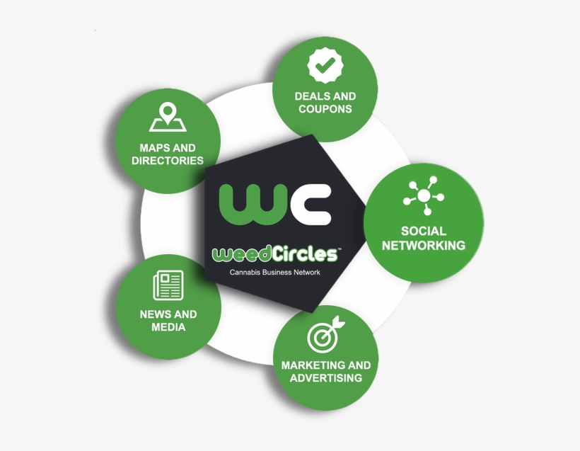 Circle, transparent png download