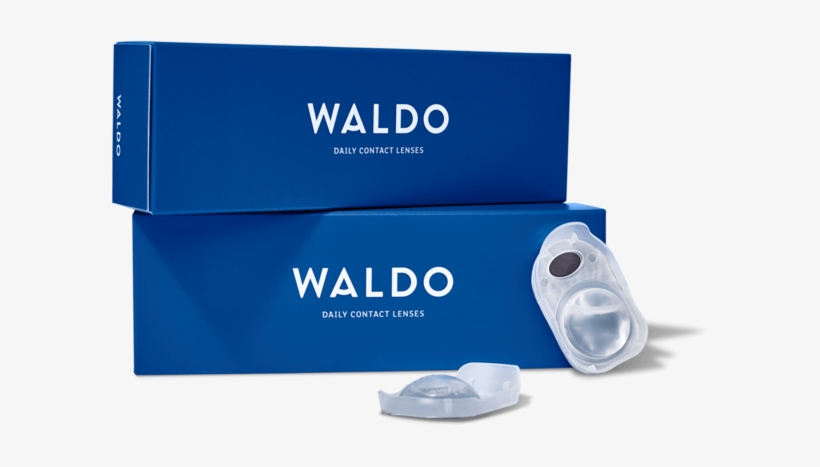 Waldo Daily Contact Lenses - Waldo Products, transparent png download