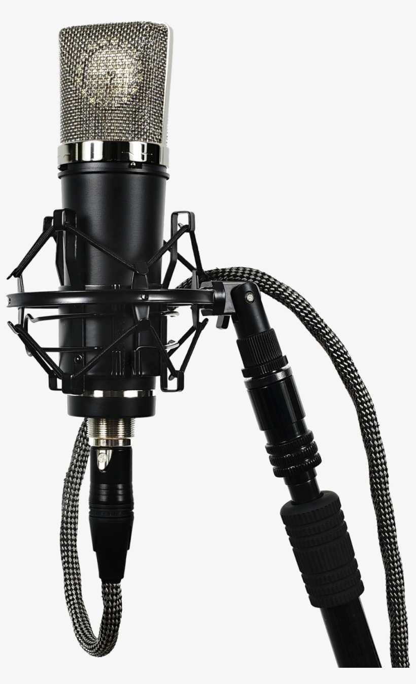 Mic In Recording Booth Png - Lauten Audio La 220, transparent png download